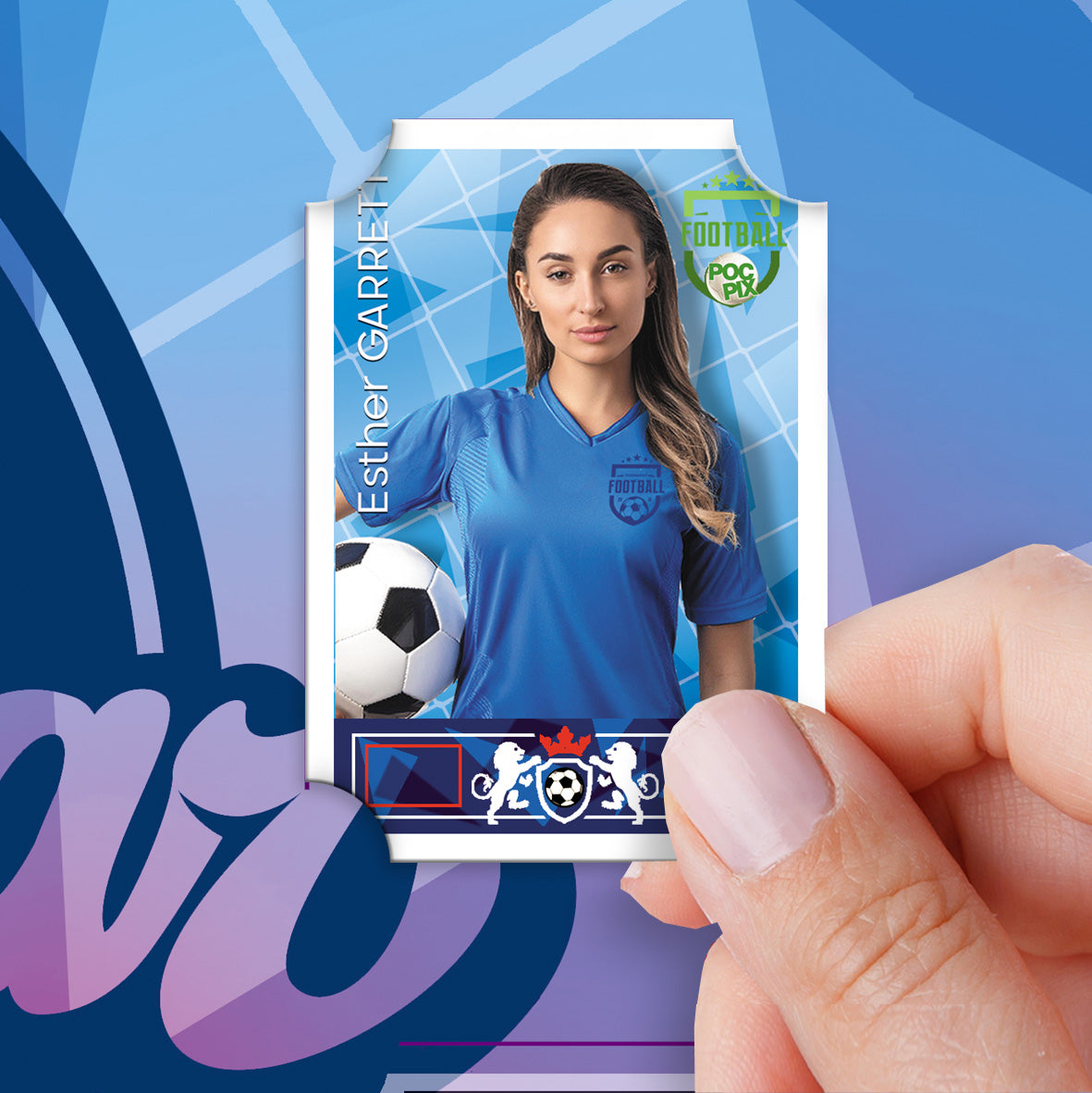 Sticker Poster : Team Sheet : Teams or All-Stars : Dream Team