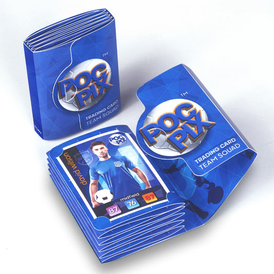 Mini Pocket Royal Blue Football Trading Card Storage Folder or Album Wallet for Chelsea, Leicester City, Everton FC etc