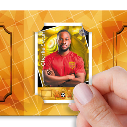 Pocket TCG Football Sticker Collection Book : Legends / Dream Team