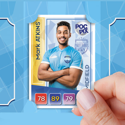 Trading Card Poster : Team Sheet : Teams or All-Stars : Sky Blue