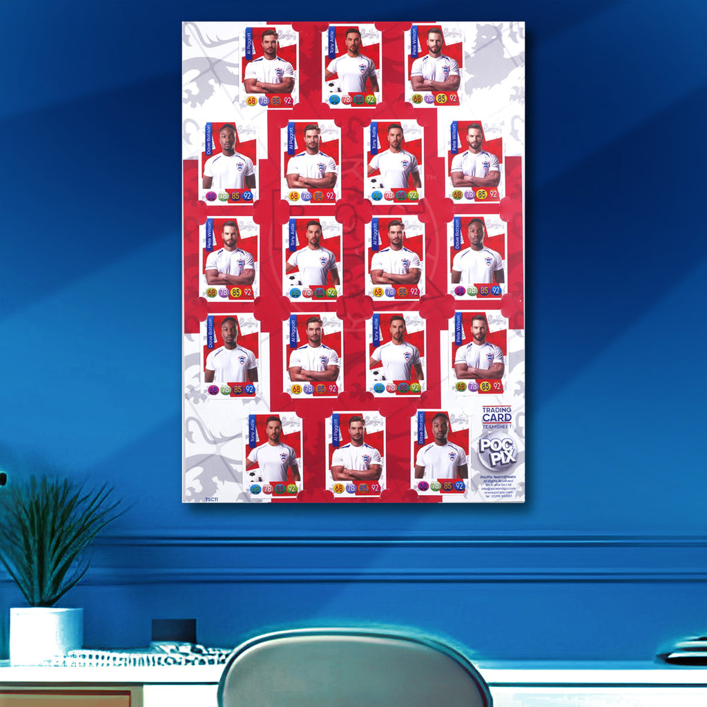 Trading Card Poster Display : Team Sheet : National Teams or All-Stars - England