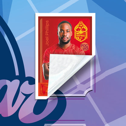 Sticker Poster : Team Sheet : Teams or All-Stars : Dream Team