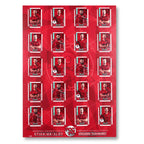Football Sticker Poster : Team Sheet - Teams or All-Stars - Red